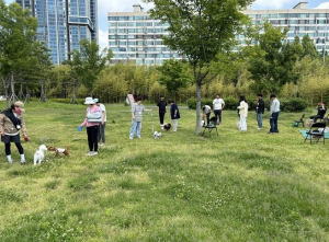 용산구, 음식점 반려동물 동반출입 영업 사전검토 서비스 도입