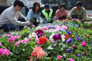 정원도시 성동구, 왕십리 광장 봄꽃화단 조성...일상에 스며든 봄꽃 향기