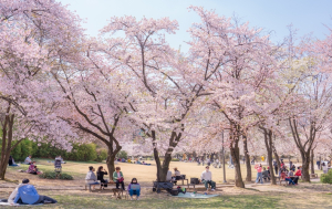 서울어린이대공원, 2025년 관람객 8년 만에 800만 명 돌파!