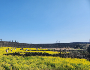 제주 미분양·공실 해법 모색… 신탁투자사와 전략 협력 논의