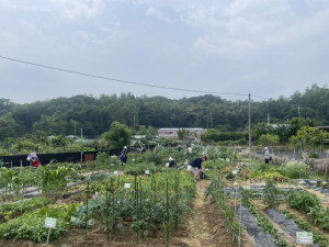 구로구, 2026년 귀농·귀촌교육 수강생 45명 선착순 모집