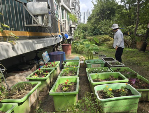 도봉구, 3월 11일부터 상자텃밭 신청…총 1,400세트 보급