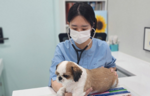 중구, 취약계층 반려동물 의료비 `최대 40만원` 지원