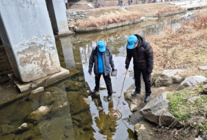 은평구, 노인일자리 활용 ‘해충감시단’ 운영… 생활밀착형 방역 강화