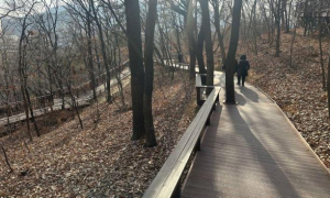 서초구, 도구머리근린공원 서측 `힐링숲` 조성... 도심 속 쉼표 늘린다!