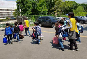 강동구, `2026년 걷기 좋고 안전한 보행환경 조성 종합계획` 수립