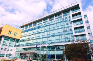 ˝토지 분할 막고 빈집은 새단장˝ 은평구, 주거환경 정비 박차