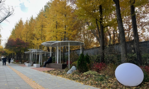 용산구, 힐링정원‧도시숲으로 이태원 관광 특구 잇는다