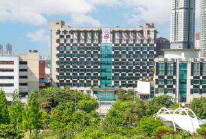 동대문구, ‘장애인 재활학교’로 기능 회복·자립 역량 두 마리 토끼 잡는다