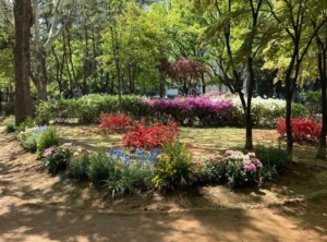 동네 곳곳이 정원으로…영등포구, `우리동네 동행정원` 참여 대상지 모집