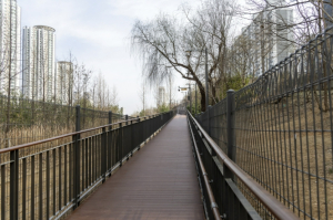 막혔던 공간, 길로 열리다!..마포구, 우리가족의 숲 무장애 산책로 조성