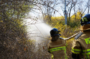 성동구, 봄철 산불예방 위한 합동 산불진화훈련 및 캠페인 실시