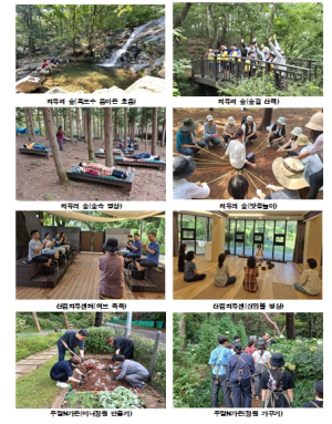 서울대공원 ‘치유의 숲’, 서울시 최초 공립 승인 … 10년 만에 프리미엄 공간으로 ‘대전환’