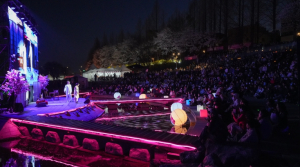 벚꽃 아래 영화·공연 즐긴다. 서초구, `제8회 양재천 벚꽃 등(燈) 축제` 개최