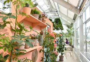 노원구 제1호 힐링타운의 진화, 여기서 끝이 아니다?! 노원구, 불암산 `정원지원센터, 카페 4rest` 재개관