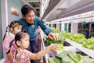 옥상에서 농부가 되어보세요! 마포구, 스마트팜 4개소 준공