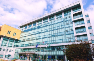 은평구, 2026년 상반기 사회보장급여 확인조사 실시