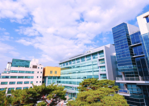 은평구, 소규모 노후 건축물 안전점검 실시… `찾아가는 무료 안전점검` 병행