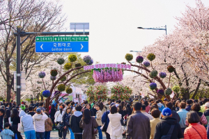 영등포구, `여의도 봄꽃축제` 360만 명이 즐겼다