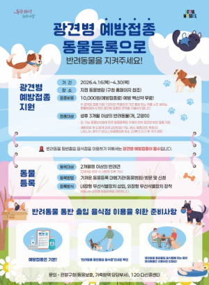 성동구, 봄철 광견병 예방접종 실시... 반려동물 건강 지킨다