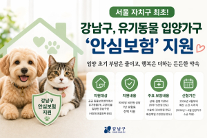 강남구, 서울 자치구 최초 유기동물 입양가구 `안심보험` 지원