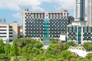 동대문구, 올해 일자리 1만1927개 만든다…청년·상권·개발현장까지 잇는다