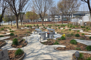 서울시, `정원으로 물든 서울` 역대 정원박람회장과 주요 공원에서 봄을 즐기세요