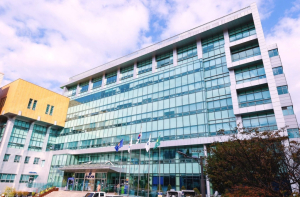 은평구, 2026년 일자리대책 수립…1만 4천여 개 일자리 창출 목표