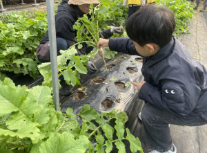 서울시, `감자 캐고 갓 지은 가마솥밥 먹고` 농업으로 힐링하러 오세요!