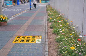 금천구, ˝도심 속 시골 정취 만끽하세요˝