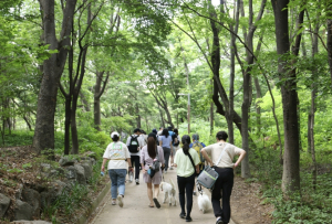 `반려견 등록은 필수` 서대문구 동물등록 자진신고 기간 운영