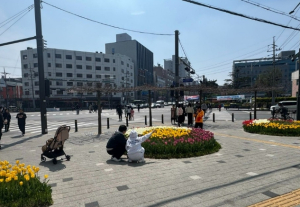 구로구, 봄꽃 식재·걸이화분 설치로 도심 단장