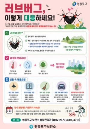 ˝서식지부터 원천 봉쇄˝ 영등포구, 여름 불청객 `러브버그` 미리 잡는다