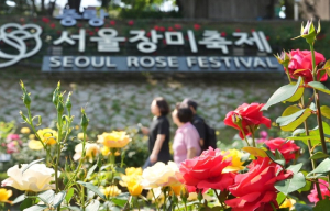 중랑구, ‘제18회 중랑 서울장미축제’ 둘째 날도 열기 이어가