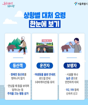 서울시, 멧돼지 도심 출몰 차단 총력… 개체수·이동경로 관리 강화