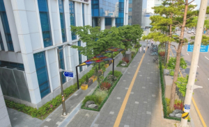 서울 중구, 다산로 2.54km 구간 ˝생활녹지축으로 단장˝…한뼘정원·개성있는 쉼터 조성한다