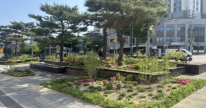 동작구, 사계절 푸른 정원 도시 만든다
