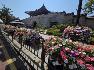 ˝경복궁 따라 사계절 정원길˝ 종로구, 4.3km 도심 녹지축 완성