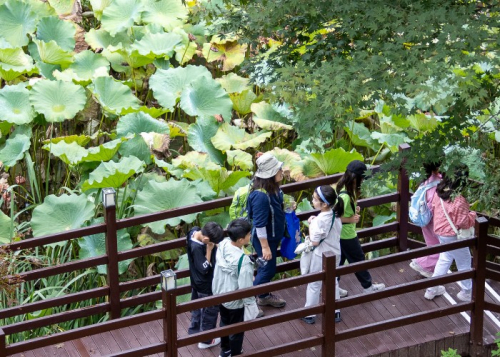 서울 광진구, 산림치유서비스 실증사업 선정… 자연친화 건강프로그램 본격 추진