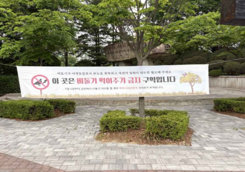 서울시, 집비둘기 먹이주기 금지구역 6월 집중 단속 및 과태료 부과 강화