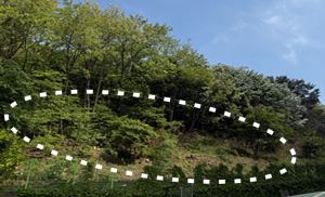 구민 안전 최우선… 동작구, 서달산 일대 산림환경 개선 완료