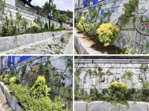 서대문구 홍제천 포방교 일대 축대 벽에 `꽃담길` 조성