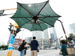 성동구, 폭염 대응체계 본격 가동... 폭염저감시설 607개소 운영