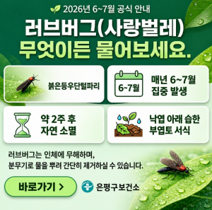 은평구, 러브버그 대응 체계 강화…주민 불편 최소화 나선다