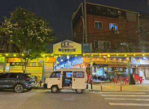 성동구, 동양하루살이 친환경 방제로 선제 대응... 청색광제거등 확대 설치