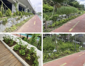 서대문구 불광천 녹지 경관 개선으로 더 푸르게 탈바꿈