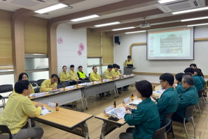 서울시, 강동구 소나무재선충병 발생… 확산 차단 총력 대응