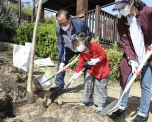 폭염 속 자연 그늘 다시 만든다… 마포구 `다시 그늘목 1호` 식재