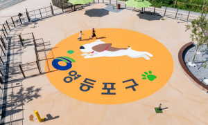 영등포구, `사랑하는 우리집 댕냥이 등록하세요`…동물 등록 자진신고 기간 운영