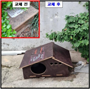 동대문구, 길고양이와 주민이 함께 사는 공존환경 만든다